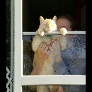 Meet your Posher, Helen